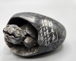 Hatching Turtle Figurine Hand Carved Chinese Gray Soapstone Sculpture Vtg - $58.04