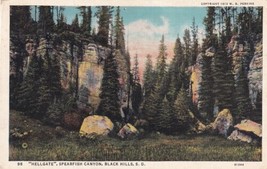 Hellgate Spearfish Canyon Black Hills South Dakota SD 1938 Winfield Postcard D08 - $2.99