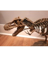 Tyrannosaurus Rex T-Rex model skeleton puzzle science learning teaching ... - $939.90 MXN