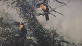 Rare Signed &amp; Numbered Gamini Ratnavira Two Toucans Bird Art Print 30 x 20 - $1,286.01