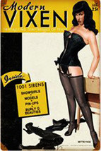 Modern Vixen Pin-Up Metal Sign - £23.54 GBP