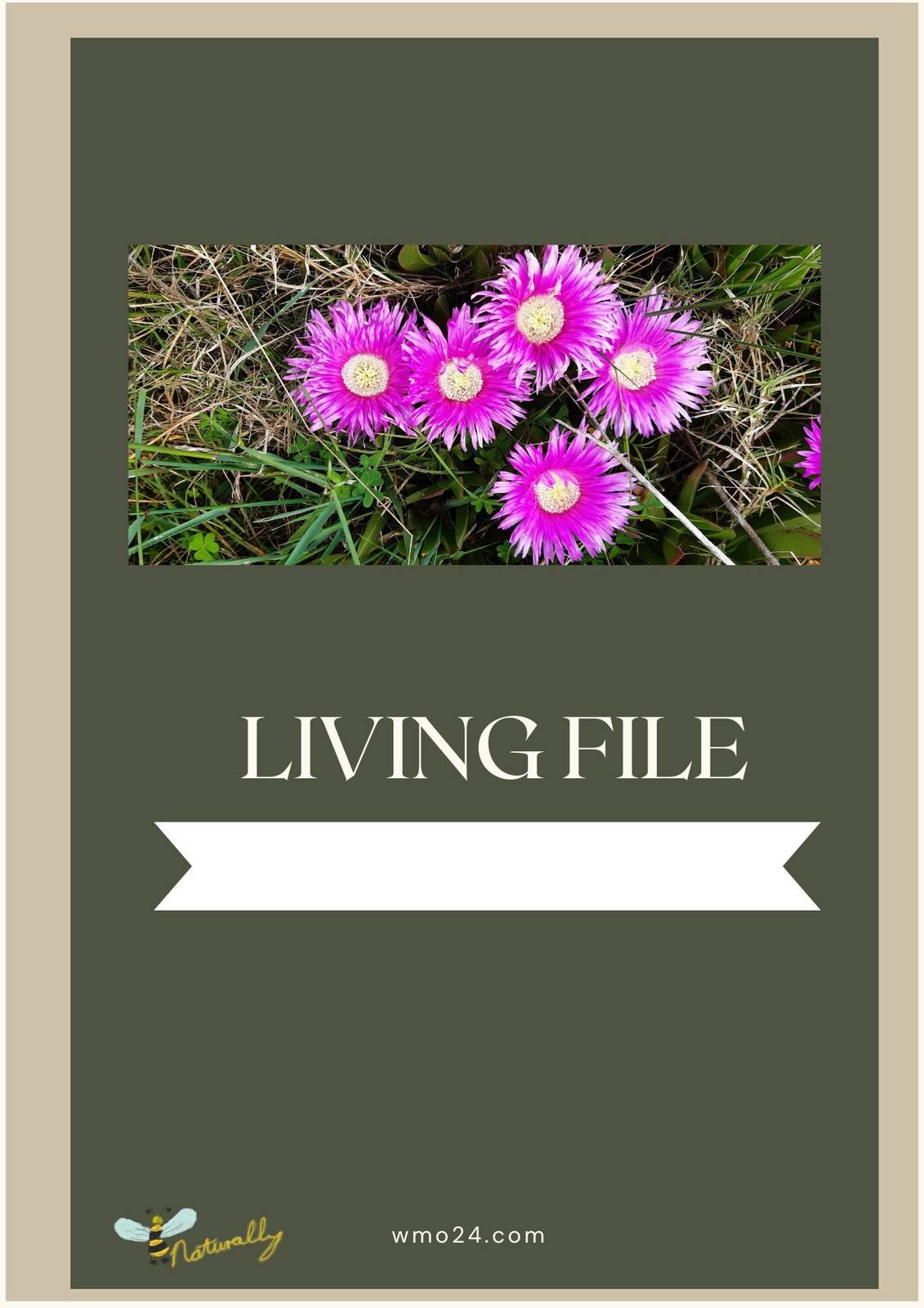 Living File, record critical personal information to assist recovery aft... - $3.75