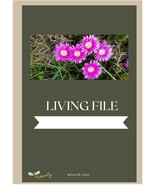 Living File, record critical personal information to assist recovery aft... - $5.12 CAD
