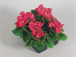 Item image 1 image 1