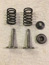 Briggs &amp; Stratton Tappet Valves with Valve Springs and Retainers 253707 ... - $14.99
