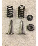 Briggs &amp; Stratton Tappet Valves with Valve Springs and Retainers 253707 ... - $281.93 MXN