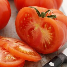 FRESH Beefsteak Tomato Seeds - Seeds - Organic - Non Gmo - Heirloom Seeds - £11.41 GBP