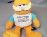 Ty Garfield Perfection Is Hard To Improve Plush Toy Stuffed Animal 9in N... - $9.85