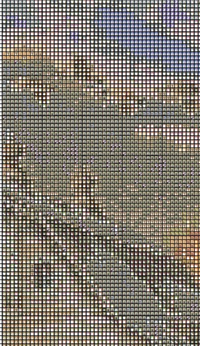 Deer Farm Cross Stitch Pattern***L@@K*** Item image 5