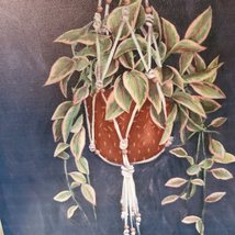 Canvas Print Wall Art, Hanging Plant, Houseplant in Macrame, Greenery, 8x8" image 2