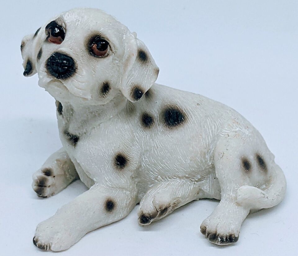 Primary image for Dalmatian Dog