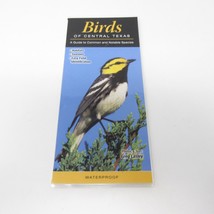 Birds of Central Texas: A Guide to Common &amp; Notable Species Waterproof Quick Ref - £4.95 GBP