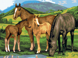 Junior Large Paint By Number Kit 15.25&quot;X11.25&quot; Horse &amp; Foals - £12.57 GBP