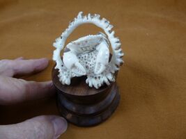 (crab-10) rock reef shore Crab of shed ANTLER figurine Bali detailed crabs - $71.09