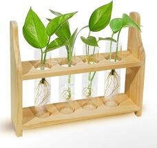 Plant Propagation Station Glass Container for Plants with XX-Large, Log ... - $15.15