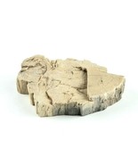 Petrified Wood 6.1 oz 3.5” x 2.75&quot; x  1&quot; Wooden Rock Stone Fossil Collec... - £12.78 GBP