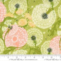Moda DANDI DUO Grass 48750 13  Quilt Fabric By The Yard - Robin Pickens - £9.18 GBP