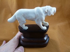 (tb-saber-3) wild saber tooth Tiger cat Tagua NUT palm figurine Bali carving - £50.25 GBP