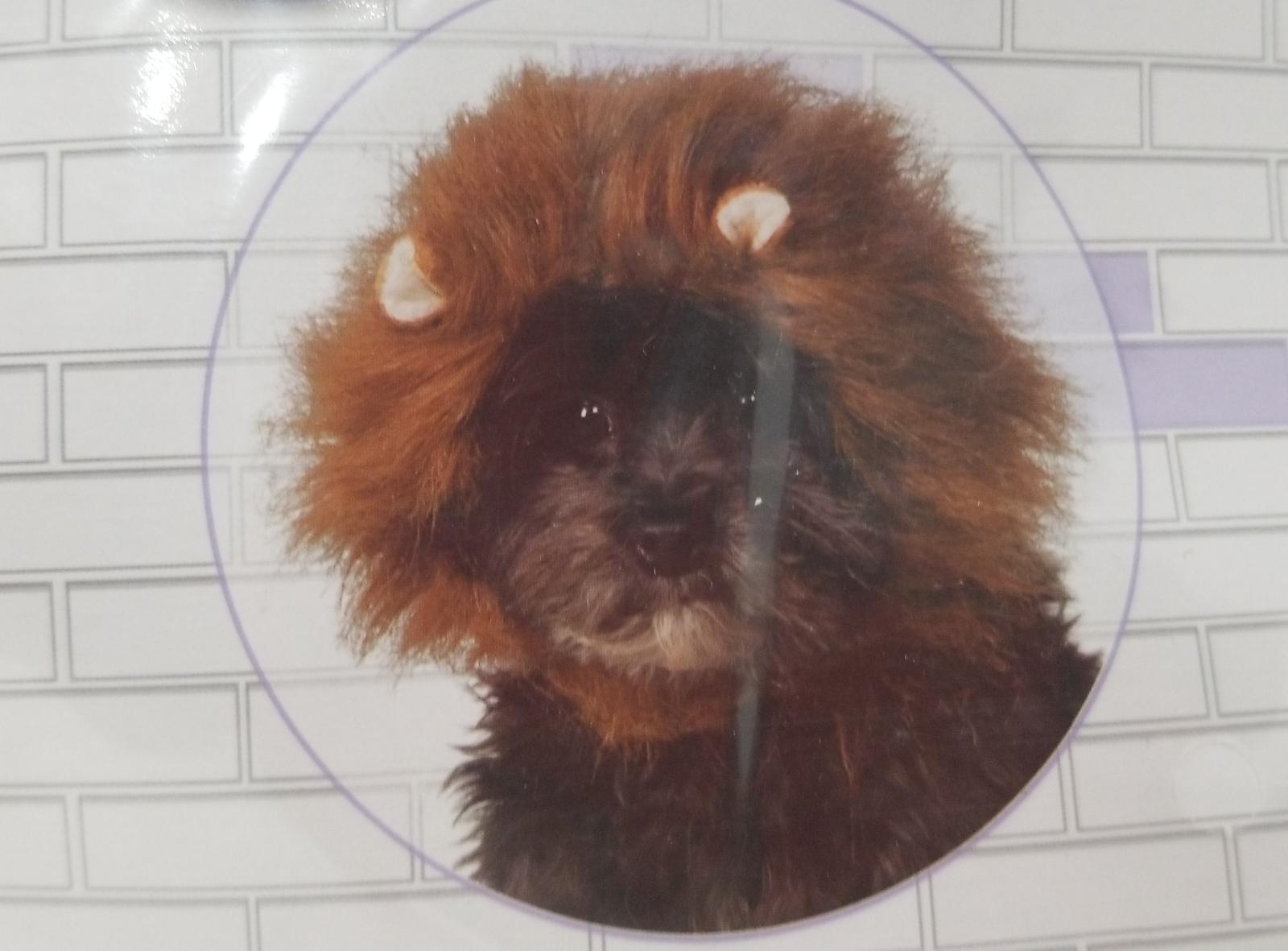 Rubies Pet Shop Boutique Lion's Mane Dog Halloween Costume, Size S/M Item image 2