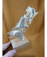 HUM-W2) Hummingbirds shed ANTLER figurine Bali detailed carving hummingb... - €392,36 EUR