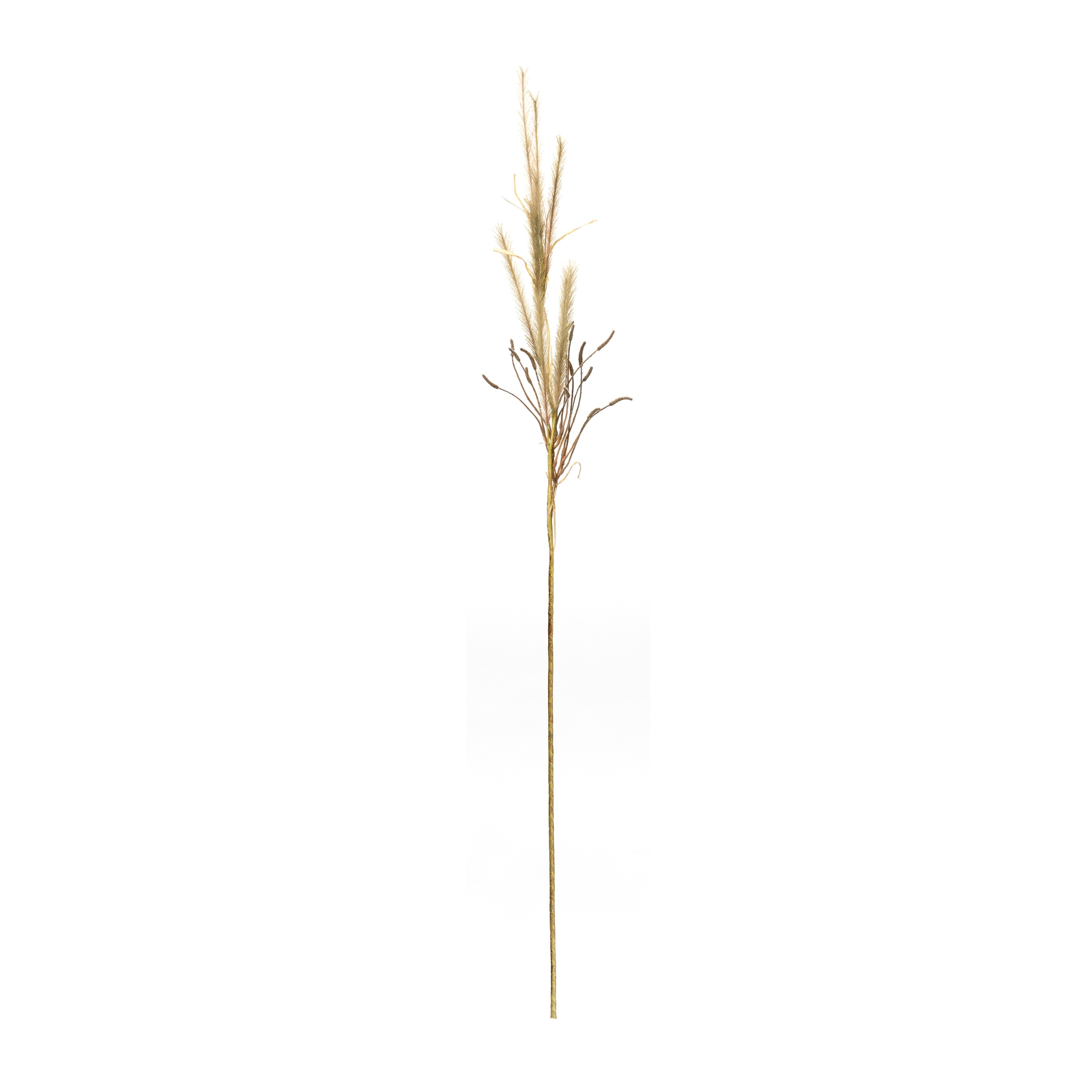 Foxtail Grass Spray (Set of 2) - $51.66