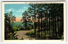 Stump House Mountain Walhalla South Carolina Linen Postcard SC Vintage Unused - £10.92 GBP