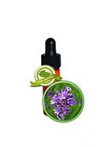 Lavender (Bulgarian) Essential Oil -3.7ml (1/8oz, Dram)-100% PURE Lavandula Vera - £15.40 GBP