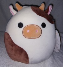 Squishmallows Ronnie the Brown and White Cow 8&quot; NWT - £12.04 GBP