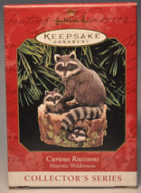 Hallmark - Curious Raccoons - Majestic Wilderness - Keepsake Ornament - £11.06 GBP
