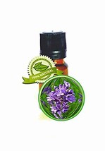 Lavender (Bulgarian) Essential Oil -5ml (1/6oz)-100% PURE Lavandula Vera - £19.25 GBP