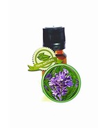 Lavender (Bulgarian) Essential Oil -5ml (1/6oz)-100% PURE Lavandula Vera - $24.49