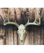 Rustic Hunter Rack Deer Skull Antler Wall Plaque Decor 10 Point Buck Fig... - €40,98 EUR