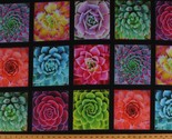 24.75&quot; X 44&quot; Panel Succulent Charm Succulents Plants Cotton Fabric D650.13 - £7.09 GBP