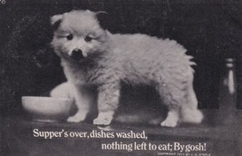 J G Steele Photo Postcard Supper&#39;s Over Dishes Washed Nothing Left To Eat Puppy - £2.38 GBP