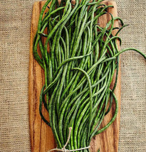 USA SELLER Yu Long Yard Long Bean Chinese Green Beans Asian Snake Pods Free Ship - $11.95