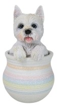 West Highland White Terrier Westie Puppy Dog Figurine With Glass Eyes Pup In Pot - £19.97 GBP