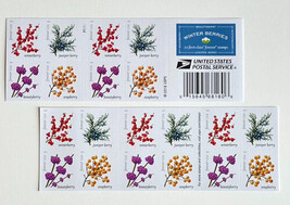 Item image 15