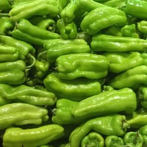 KKG Cubanelle Sweet Frying Organic Fresh Garden - $7.89