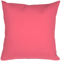 Sunbrella Hot Pink 20x20 Outdoor Pillow - £43.78 GBP