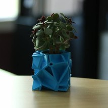 Cube Voronoi Pot Planter Flower Pot Planter Hand-Made Succulent Decoration 3D Pr - £7.90 GBP