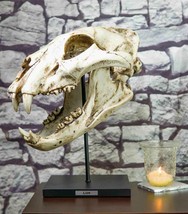African Lion Fossil Skull Baring Jaws and Teeth Statue On Museum Pole Mount 14&quot;H - £107.90 GBP