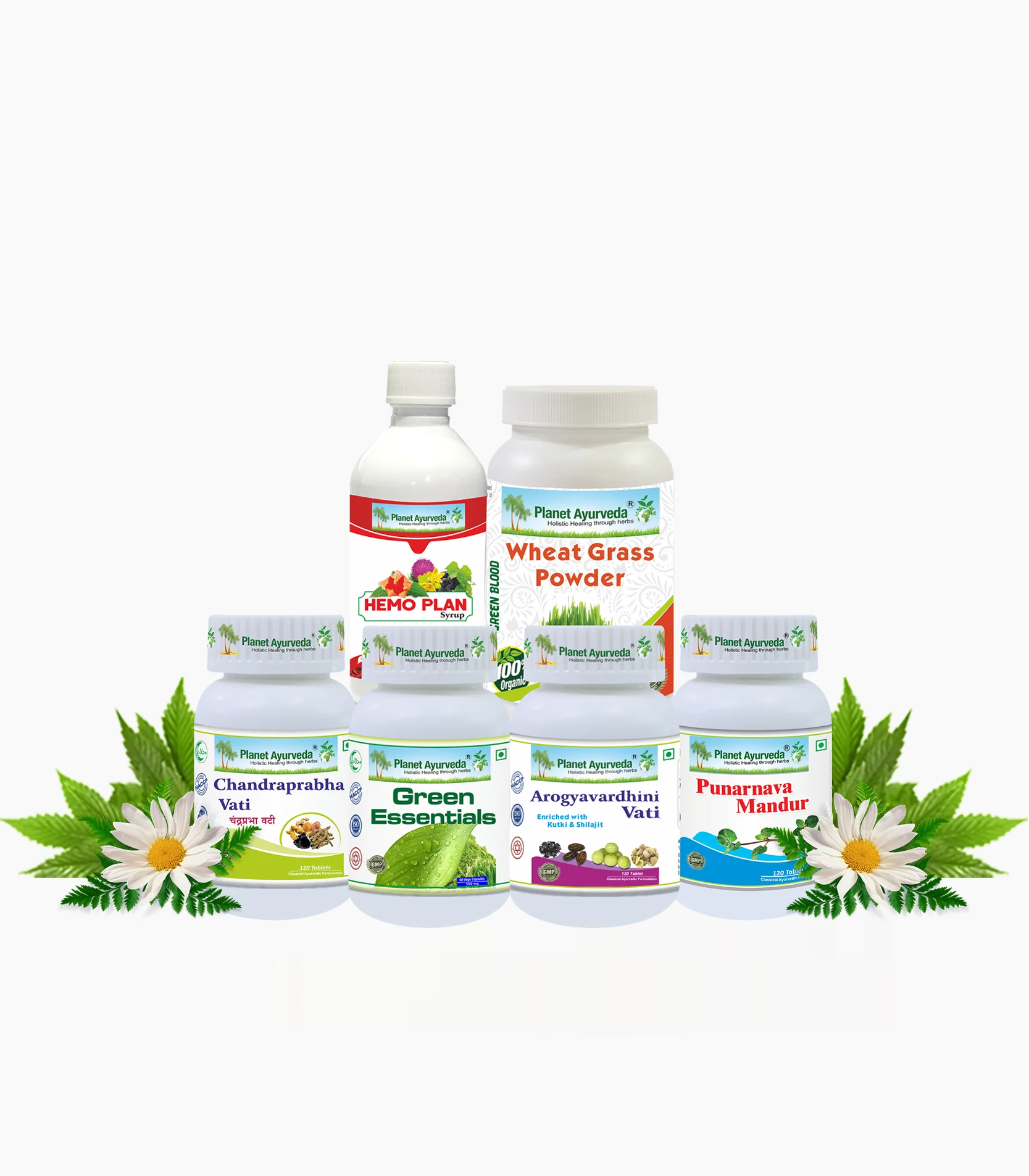 Planet Ayurveda Anemia Care Pack with Free Shipping - $334.00