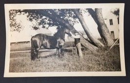 Antique Photograph Man Tying Horse to Tree Cowboy Western Velox 4.5&quot; x 2.75&quot; - $8.00