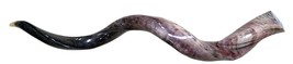 Polished kudu horn XL African antelope horn Animal Horn Deer Horn Shofar... - £109.99 GBP