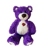 Purple Plush Bear Plaid Heart Beans in Bottom Plushie Toy Sits First &amp; M... - $221.44 MXN