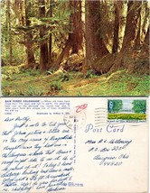 Florida Leesburg Rain Forest Colonnade Posted 1969 to Bucyrus Ohio Postcard - £7.51 GBP