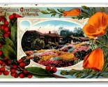 Christmas Greetings California Poppy and Garden DB Postcard W16 - $3.91