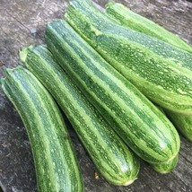 20 Premium Italian Cocozelle Zucchini Nongmo Summer Squash Seedsb 37 From US  - $8.35