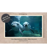 Samsung FRAME TV Art - Dolphins Swimming together, 4K (16:9) | Digital D... - £2.75 GBP