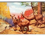 Mule Deer Exhibit Natural History Museum Chicago IL UNP Chrome Postcard Y10 - $2.92
